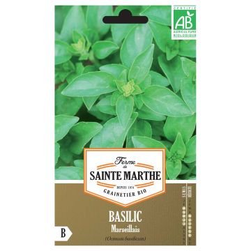 Basilic Marseillais Bio - Ferme de Sainte Marthe