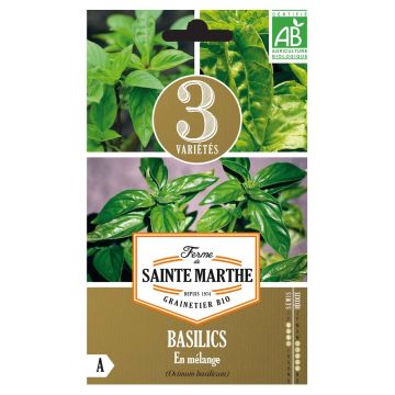 Basilics en mélange (Basilic Cannelle - Basilic Géant Monstrueux - Basilic Grand Vert) - Bio - Ferme de Sainte Marthe