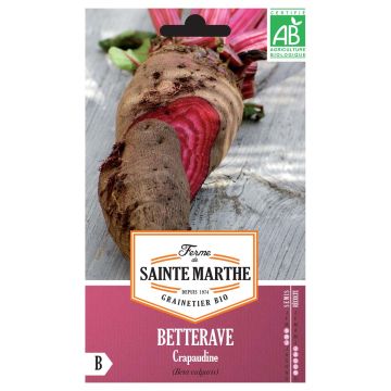 Betterave Crapaudine Bio - Ferme de Sainte Marthe