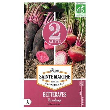 Betteraves en mélange (Crapaudine et Chioggia) Bio - Ferme de Sainte Marthe