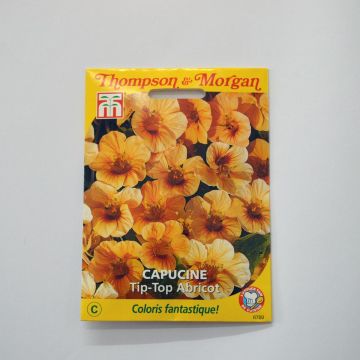 Graines de Capucine Tip-Top Apricot - Tropaeolum majus