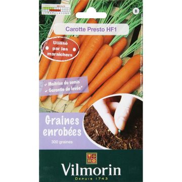 Carotte Presto HF1 Graines enrobées - Vilmorin