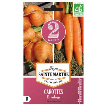 Carotte en mélange (Marché de Paris 3 - Nantaise 2) - Bio - Ferme de Sainte Marthe