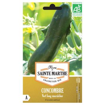 Concombre Vert Long Maraîcher Bio - Ferme de Sainte Marthe