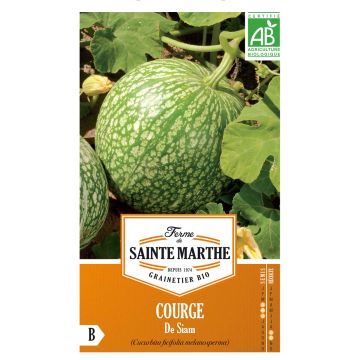 Courge de Siam Bio - Ferme de Sainte Marthe