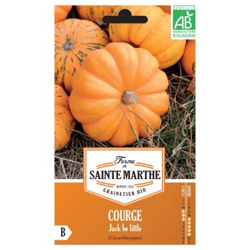 Courge Jack Be Little AB - Ferme de Sainte Marthe