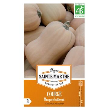 Courge Musquée Butternut AB - Ferme de Sainte Marthe