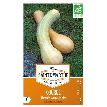 Courge Musquée Longue de Nice Bio - Ferme de Sainte Marthe