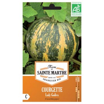 Courge Lady Godiva Bio - Ferme de Sainte Marthe