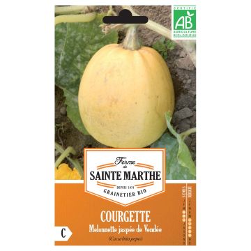 Courgette Melonnette Jaspée de Vendée AB - Ferme de Sainte Marthe