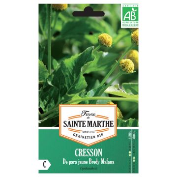 Cresson de Para jaune Bio -  Bredy Mafana - Ferme de Sainte Marthe