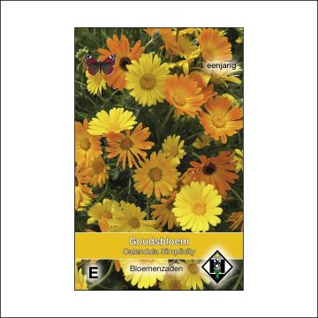 Graines de Calendula officinalis Simplicity - Souci des Jardins