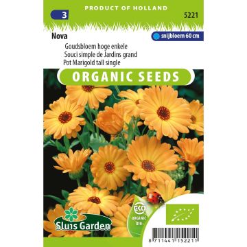 Graines de Calendula ou Souci orange simple BIO 