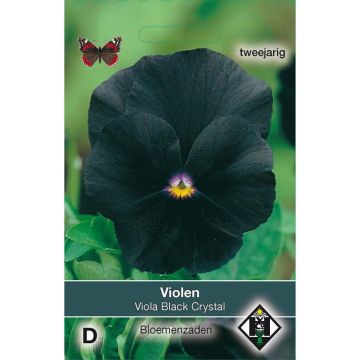 Graines de Pensée Black Cristal - Viola x wittrockiana