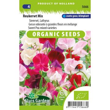 Graines de Pois de senteur en mélange BIO - Lathyrus odoratus