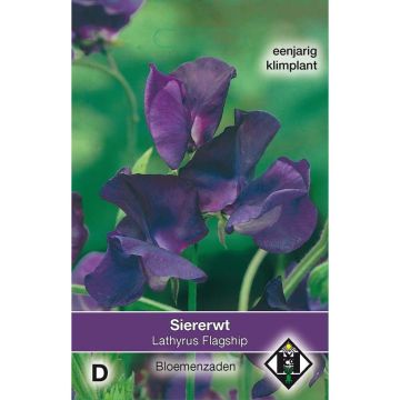 Graines de Pois de Senteur Flagship - Lathyrus odoratus