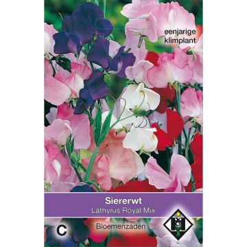 Graines de Pois de Senteur Royal Mix - Lathyrus odoratus