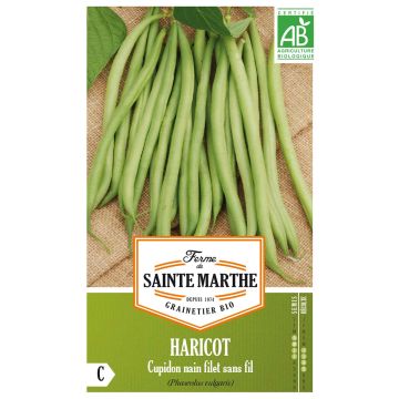 Haricot Cupidon Bio - Top 20 - Ferme de Sainte Marthe 