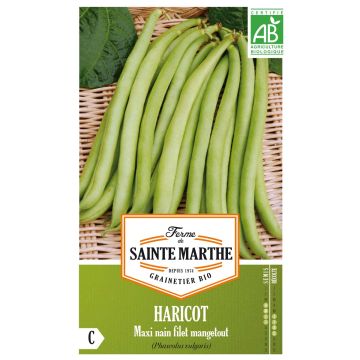 Haricot Maxi Bio – Top 50 - Ferme de Sainte Marthe 