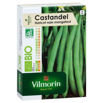 Castandel (haricot nain mangetout) Bio - Vilmorin