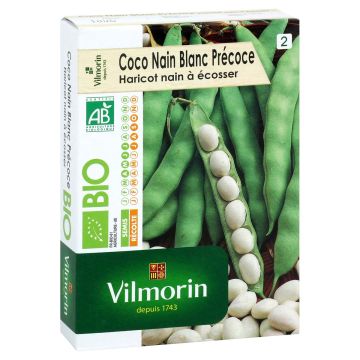 Coco nain blanc (haricot nain à écosser) Bio - Vilmorin