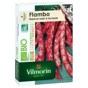 Flambo (haricot nain à écosser) Bio - Vilmorin