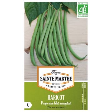 Haricot nain à filet Pongo Bio - Ferme de Sainte Marthe 
