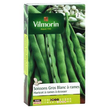  Haricot à rames Soissons gros blanc à rames - Vilmorin