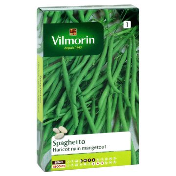 Haricot nain mangetout Spaghetto - Vilmorin