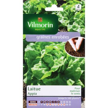 Laitue Appia (graines enrobées) - Vilmorin