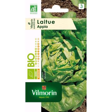 Laitue Appia Bio - Vilmorin