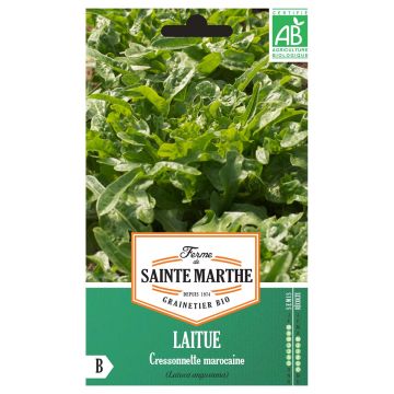 Laitue Cressonnette Marocaine (Radichetta) Bio - Ferme de Sainte Marthe - Graines de salade à couper