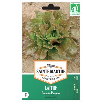 Laitue pommée Pasquier Bio - Ferme de Sainte Marthe