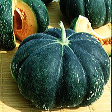 Melon Noir des Carmes Bio - Ferme de Sainte Marthe