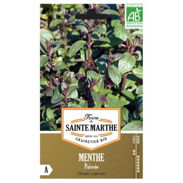 Menthe Poivrée Bio - Ferme de Sainte Marthe