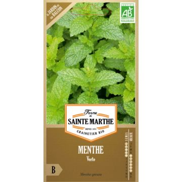 Menthe verte BIO - Mentha Spicata - Ferme de Sainte Marthe