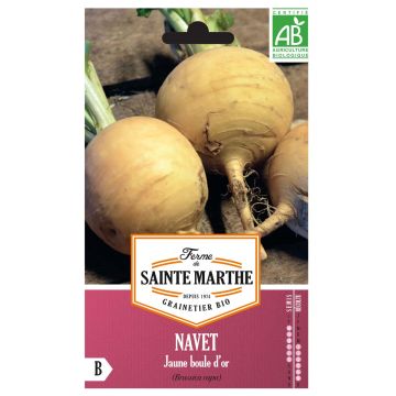 Navet Jaune Boule d'Or Bio - Ferme de Sainte Marthe