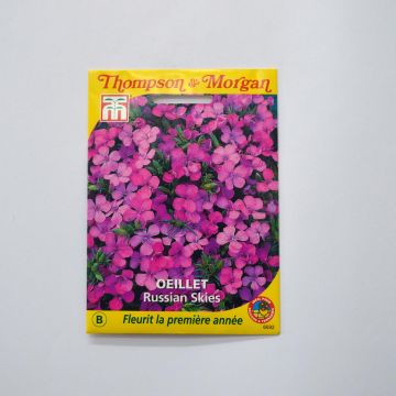 Graines d'Oeillet Russian Skies - Dianthus 
