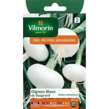 Oignon Blanc De Vaugirard - Vilmorin