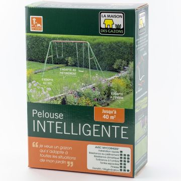 Pelouse intelligente continentale