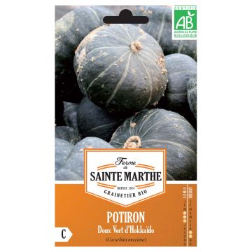 Courge Butternut Musquée - Les graines Bio Jaime-jardiner.com