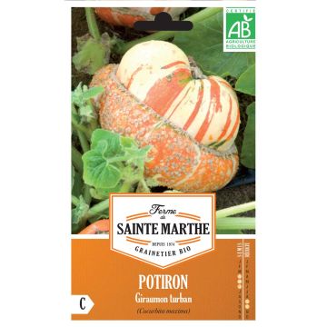 Potiron Giraumon Turban Bio - Ferme de Sainte Marthe