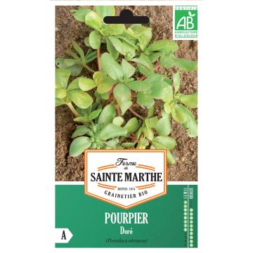 Pourpier Doré AB - Ferme de Ste Marthe