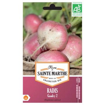 Radis Gaudry 2 Bio - Ferme de Sainte Marthe