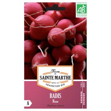 Radis Rond Rouge Raxe Bio - Ferme de Sainte Marthe