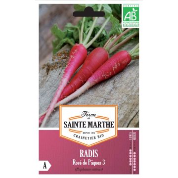 Radis Rose de Pâques 3 Bio - Ferme de Sainte Marthe