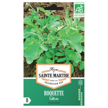 Roquette cultivée Bio - Ferme de Sainte Marthe