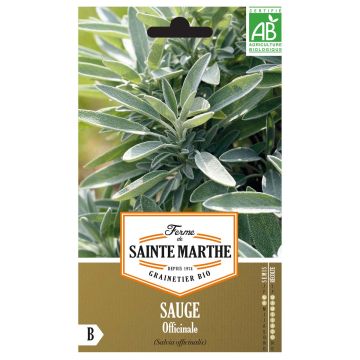 Sauge officinale Bio - Ferme de Sainte Marthe