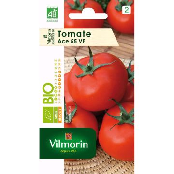 Tomate Ace 55 VF Bio - Vilmorin - Tomate chair de Bœuf