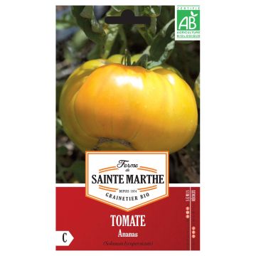 Tomate Ananas Bio – Ferme de Sainte Marthe